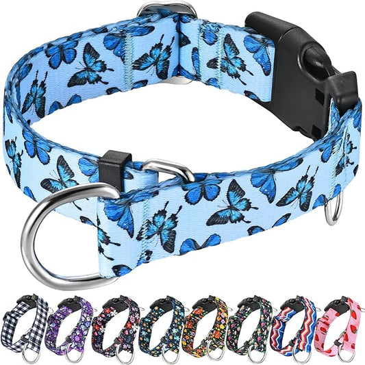 Martingale Collar for Dogs with Buckle Nylon Slip No Pull Training Dog Collars (Blue Butterfly, XSmall)