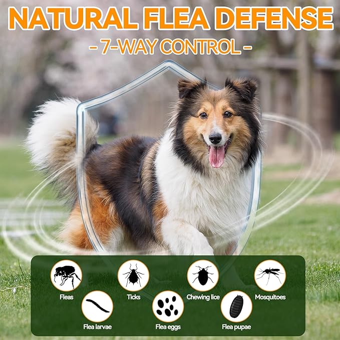 Dual Flea Chews Bundle for Dogs - 200 Each - Natural Flea & Tick Prevention with Skin & Coat Support + Daily Flea Chews for All Breeds - Chicken Flavor Combo