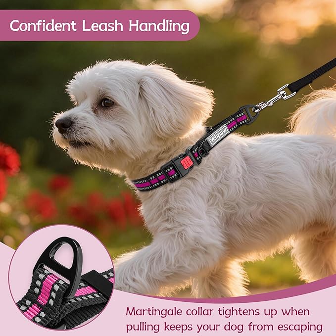 Martingale Collar for Dogs Reflective Collar with Quick Release Buckle, Adjustable Nylon Collars for No Slip Dog Collar, Hot Pink, XS