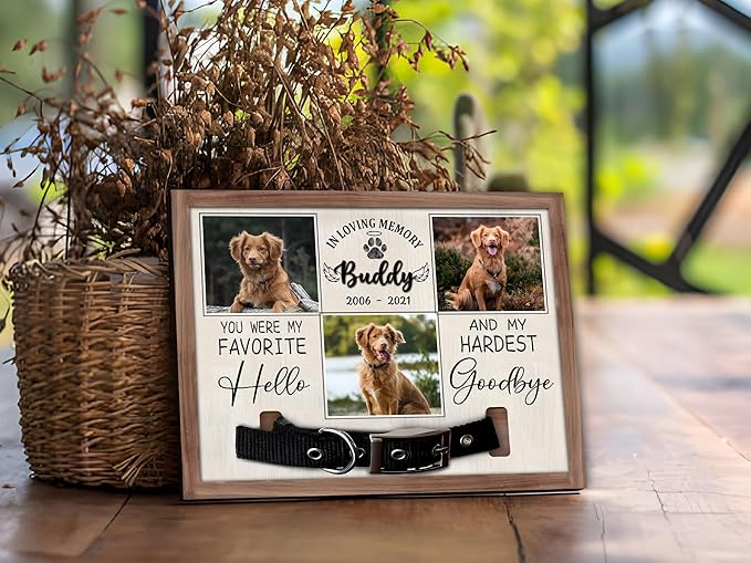 Personalized Memorial Pet Collar With Photo Plaque, Custom Memorial Frame For Loss Of Dog, Dog Loss Sympathy Gift, Pet Loss Gift