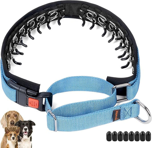 Mayerzon No Pull Dog Collar, Patented Martingale Collar for Small Medium Large Dogs with Buckle and Heavy Duty Nylon for Walking Training Hunting, Safe and Easy to Use(M, Blue)