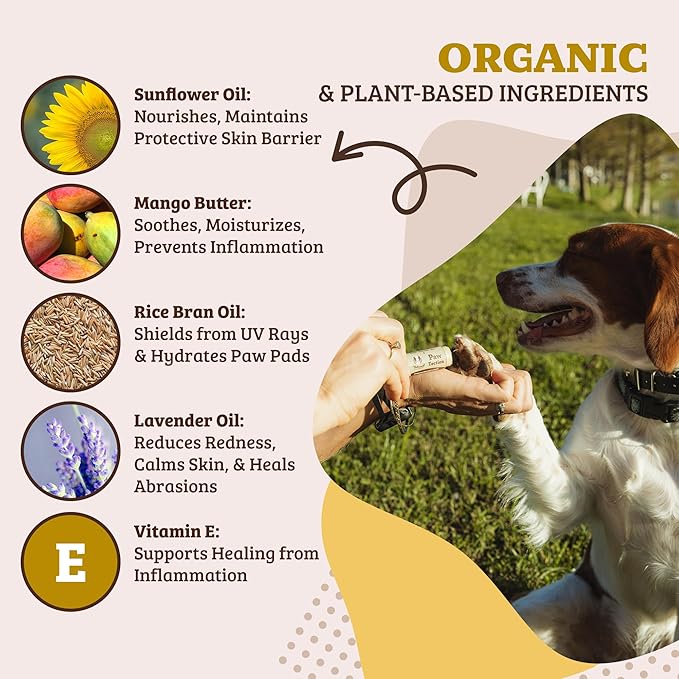 Natural Dog Company PawTection Balm for Dogs – Winter Paw Protection from Snow, Ice & Salt, Wax-Based Paw Barrier Balm, All Breeds for Cold Weather Walks & Outdoor Adventures, Lick-Safe, 0.15 oz Stick
