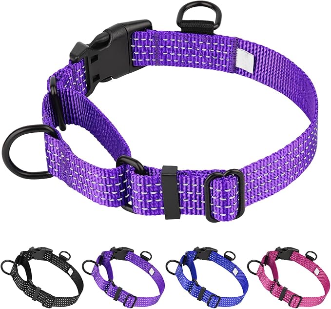 Martingale Dog Collars, Adjustable Reflective Nylon Dog Collar for Training Dogs, No Pull Dog Choker Collar for Medium Large Dogs (L, Purple)