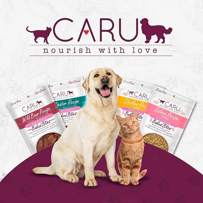 CARU - Soft 'n Tasty Baked Bites - Salmon Bites Dog Treats - Flavorful Training Treats - 4 oz
