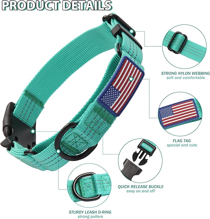Martingale Dog Collar Quick Release Buckle No Pull Reflective Non-Slip for Medium Large Dogs Training (Teal, Large)