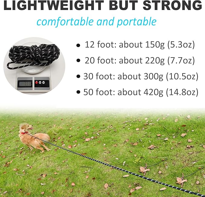 20FT Long Slip Lead Dog Leash, 12ft 30ft 50ft Reflective Rope Training Leash Anti-Choking for Medium Dogs Small Puppy Pets (Black)