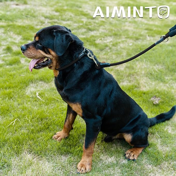Dog Leash, Braided Rope Traction – Walking Training Lead for Medium/Large Dogs ((1/2") x 6FT, Black)