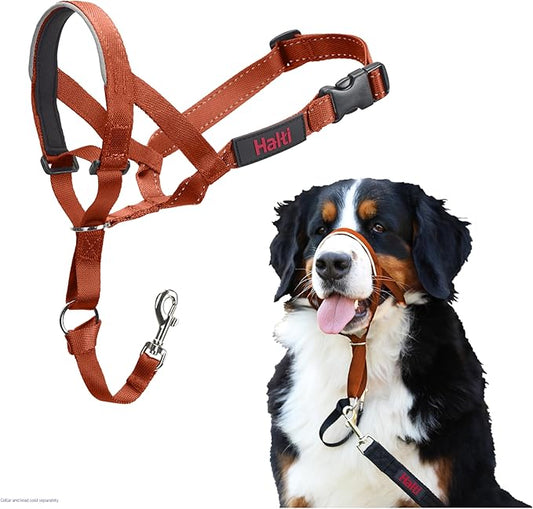 Halti Headcollar - Stop Your Dog Pulling on The Leash. Adjustable, Reflective and Lightweight, with Padded Nose Band. Dog Training Anti-Pull Collar for Large Dogs (Size 4, Burnt Orange)
