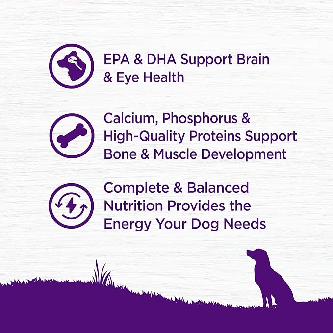 Wellness Complete Health Puppy Dry Dog Food, Wholesome Grains, Natural, Chicken, Oatmeal, & Salmon Recipe, (15-Pound Bag)