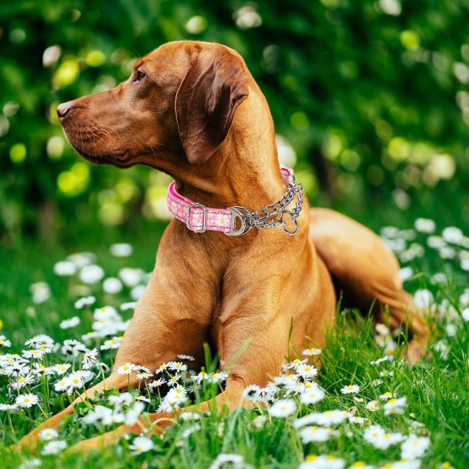 Martingale Dog Collar Pink Daisy No-Slip Dog Collar Adjustable Comfortable Choke Chain Collars for Training & Walks（Pink Daisy XXL