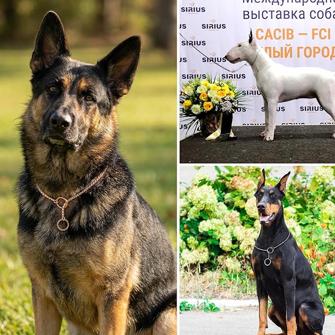 Heavy Duty Dog Choke Collar Slip Dog P Chain Snake Collar Plating Anti-Rust Dog Training Collars for Small Large Dogs Black/Gold/Silver/Rose Gold 15.5in-29.5in (19.5in, Black)