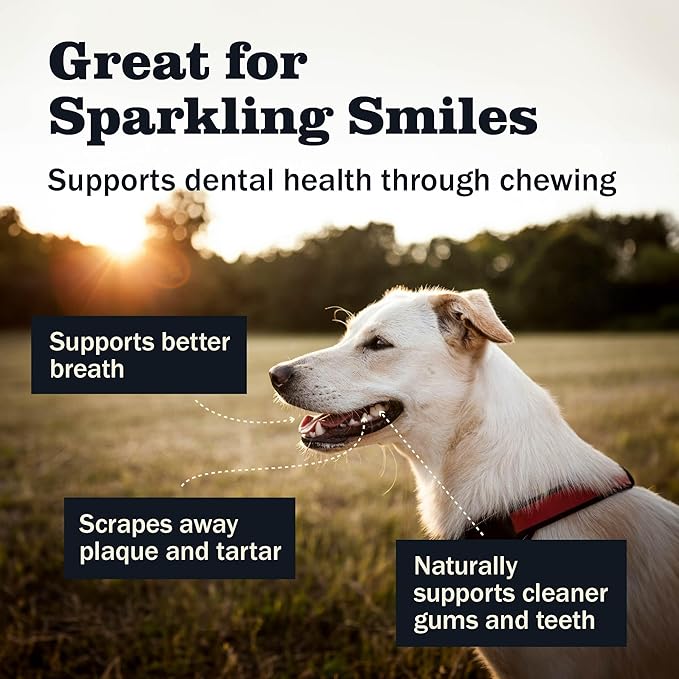 Redbarn Large Cheese n' Bacon Filled Bones Dog Treats, case of 20