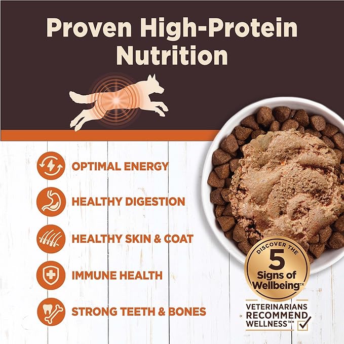 Wellness CORE Digestive Health Chicken & Beef Pate Variety Pack Grain Free Wet Dog Food, 13 Ounce Can (Pack of 6)