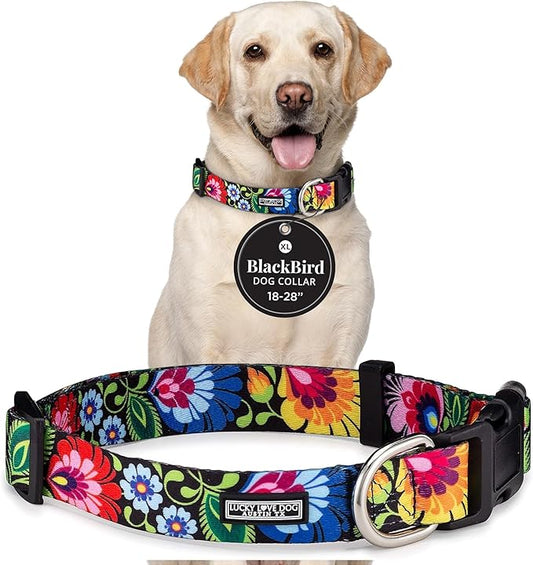 Lucky Love Dog - Adjustable Dog Collar with Easy Click Buckle for Large Ones, Durable, & Comfortable for Male & Female Dogs, Pet Collar for Puppies & Adult Dogs - Blackbird, Extra Large