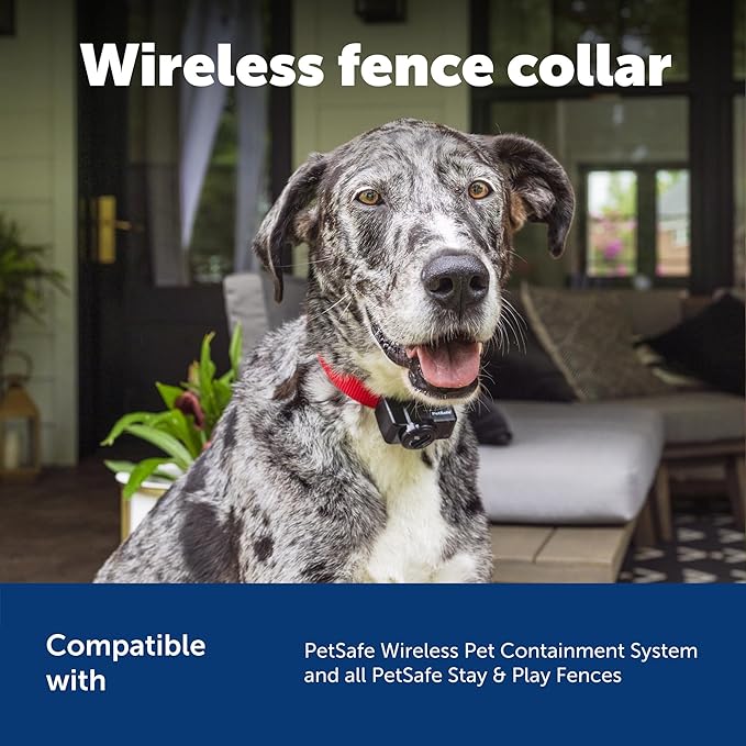 PetSafe Wireless Pet Containment System Receiver Collar - Battery-Operated & Waterproof - Adjustable Receiver Collar with 5 Correction Levels - for Dogs 5lb+
