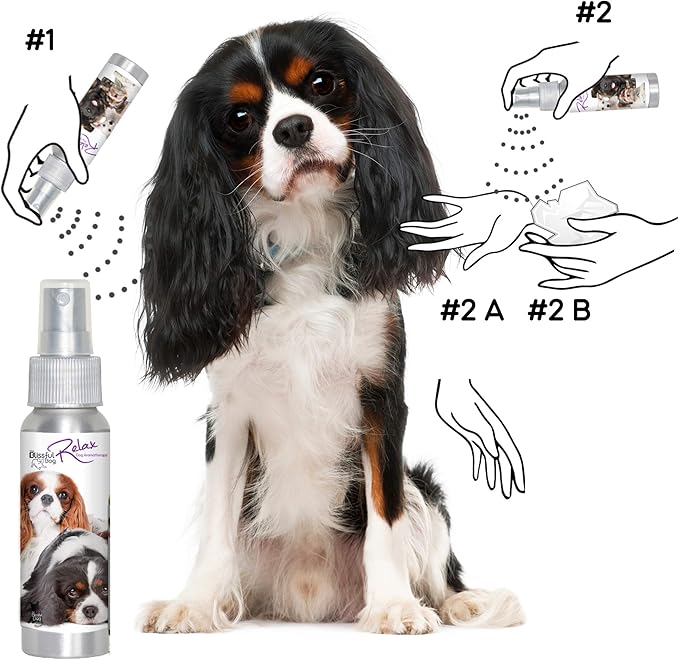 The Blissful Dog Cavalier King Charles Spaniel Relax Dog Aromatherapy Spray for Your Dog's Anxiety
