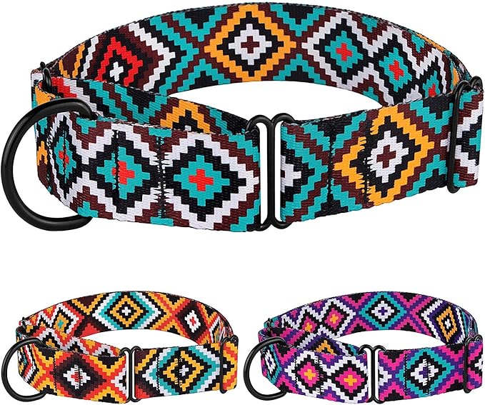 CollarDirect Aztec Martingale Collars for Dogs Heavy Duty Tribal Pattern Safety Nylon Training Collar Large Medium Small (Ethnic Teal, M, Neck Size 12"-17")
