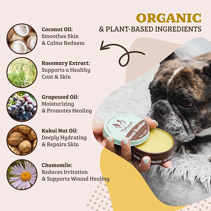 Natural Dog Company Snout Soother Balm – Dog Nose Balm for Dry Cracked Snouts, Moisturizing Winter Nose Care with Coconut Oil & Shea Butter, Lick Safe Dog Snout Balm for All Breeds, 1 oz Tin