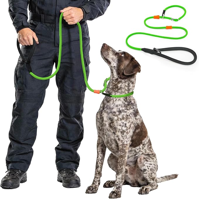 BeauGo| Slip Lead Dog Leash| Dog Training Leash,No Pull Dog Training Lead & Colla,Sturdy and Durable,Suitable for All Dogs Training leashes (5FT Green)