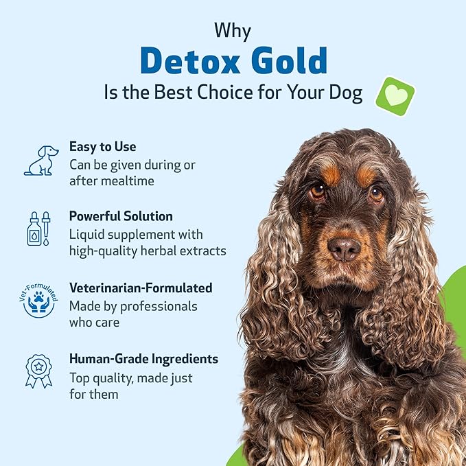 Pet Wellbeing Detox Gold for Dogs & Cats - Gentle Detoxification & Elimination Support, Immune System Care, Nettle, Blessed Thistle - Veterinarian-Formulated Herbal Supplement 4 oz (118 ml)