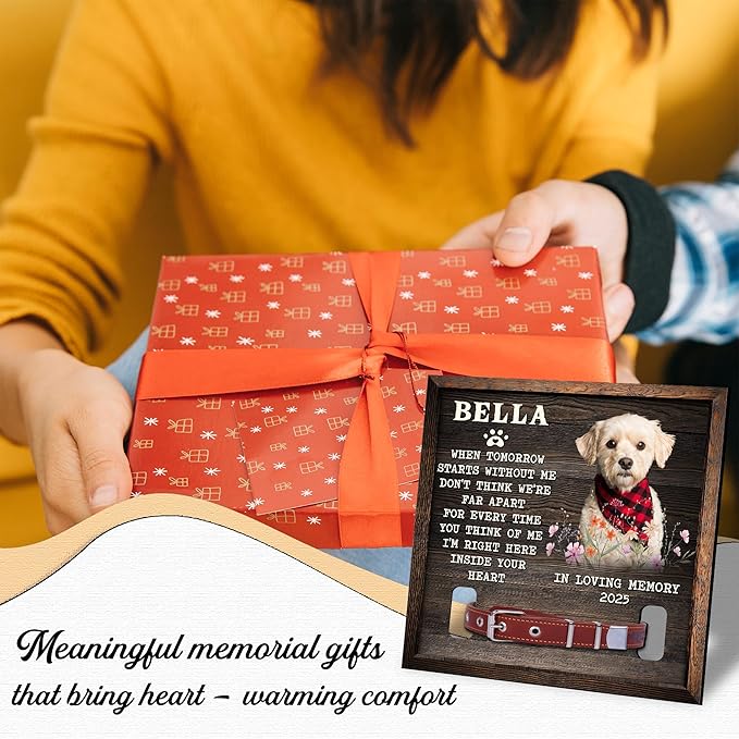 Dog Memorial Frame with Collar Holder Personalized Dog Photo Display for Loss of Pet Pet Remembrance Shadow Box Gift 8" x 8" Maple Wood Frame Color: Without You