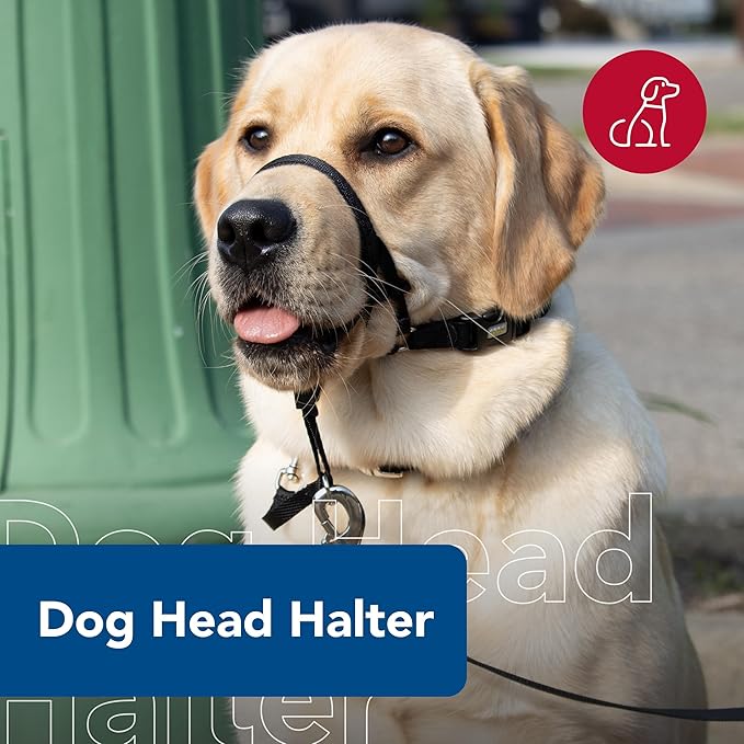 Coastal Pet Walk 'n Train Dog Head Halter - Head Colllar Dog Leader - No-Pull Pet Harness - Quick-Drying Polyester - Black - Medium