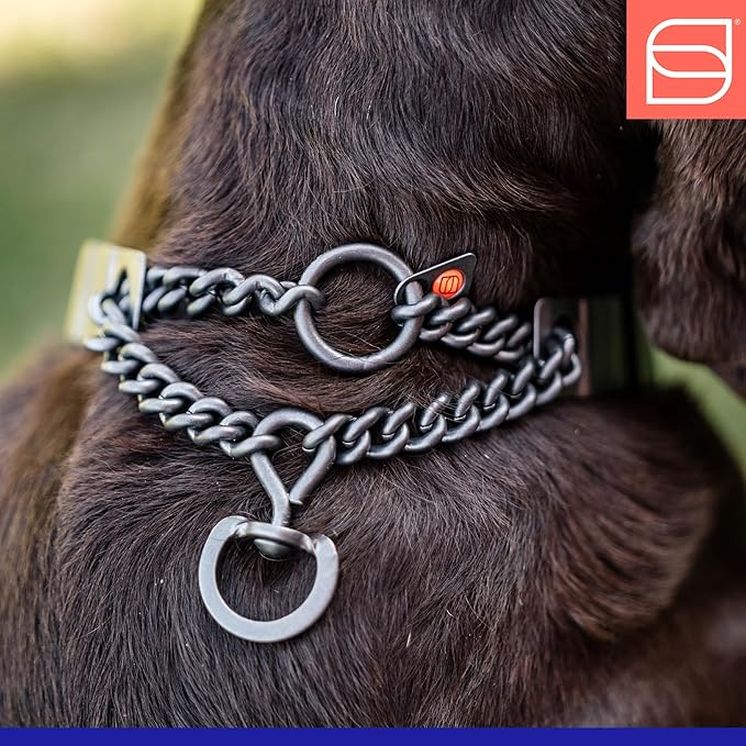 Herm. Sprenger NeckTech Sport Prong Dog Training Collar with Quick Release Snap and Swivel, Anti Pull Training Pinch Collar, Stainless Steel Black Matte (23" Neck Size; 24-25" Chain Length)