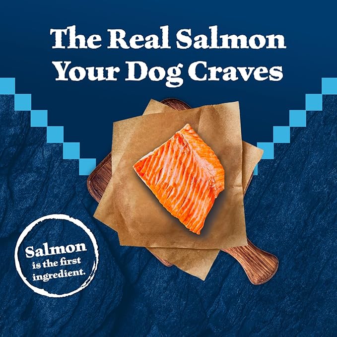 Blue Buffalo Wilderness High-Protein Natural Dry Food for Senior Dogs, Salmon Recipe, 4.5-lb. Bag