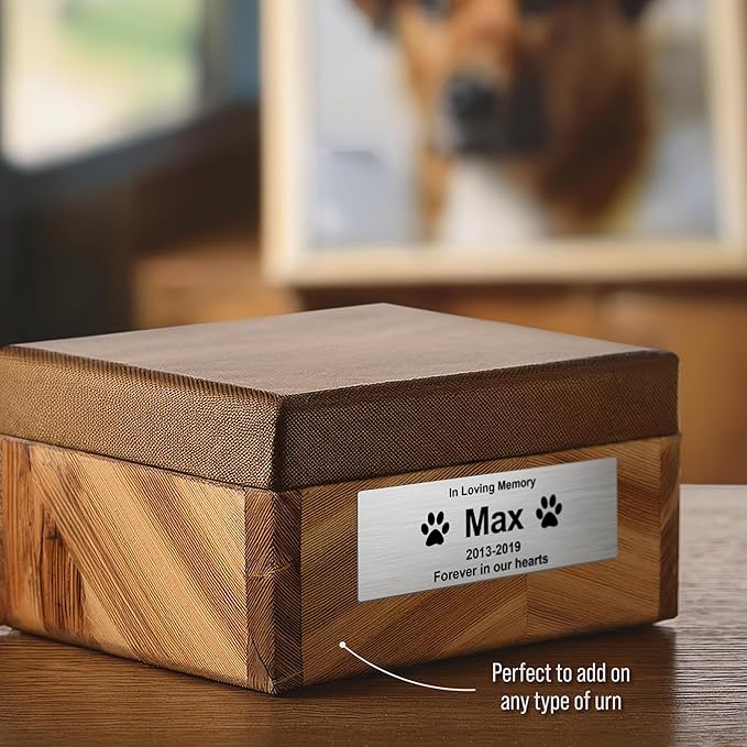 Custom Pet Memorial Nameplate for Urns & Ashes Boxes, Personalized Stainless Steel Adhesive Backing Badge Remembrance Tags (Text)