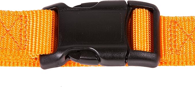 GOGO Pet Products 1-Inch Martingale Dog Collar, Large, Orange