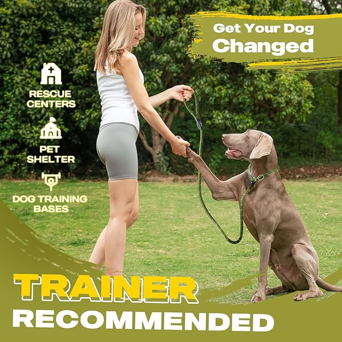 Fida Durable Slip Lead Dog Leash, 6 FT x 3/8" Heavy Duty Dog Loop Leash, Comfortable Strong Rope Slip Leash for Small Dogs and Puppies, No Pull Pet Training Leash with Highly Reflective(3/8", Green)
