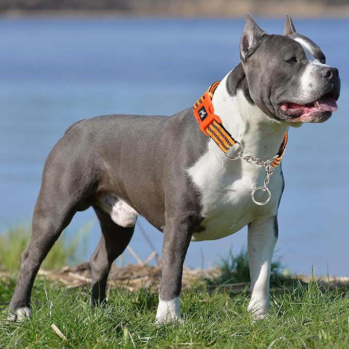 Orange Martingale Dog Collar for Medium Large XL Breeds,Dog Collar Soft Nylon No Pull Dog Collars for Medium Dogs, XL