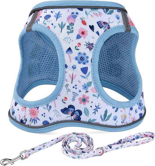Step in Dog Harness and Leash Set, Reflective Adjustable No Pull Dog Harness for Extra-Small/Small Dogs Puppy and Cats, Soft Padded Mesh Vest Harnesses for Girl and Boy Pets(Cute Insect,XXS)