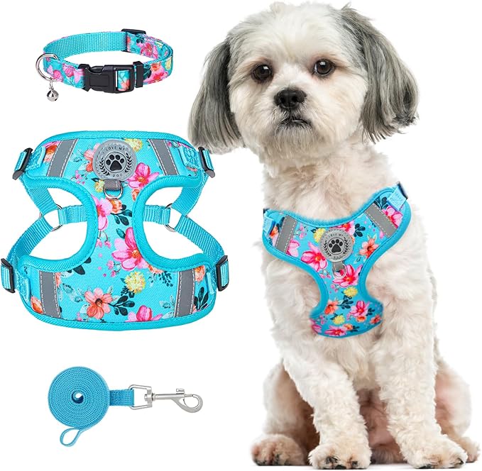 BEAUTYZOO Dog Harness Small Sized, Step in No Pull Dog Harness Collar and Leash Set, Easy Walking Reflective Vest for Small Dogs, Adjustable Soft Mesh Padded Puppy Harnesses Pet Accessories, Blue S