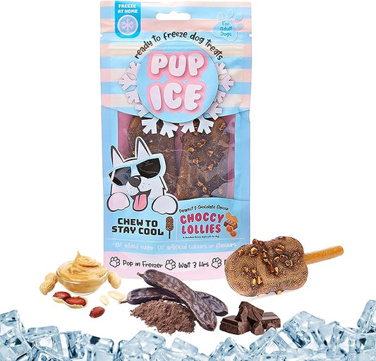 SPOT Pup Ice Dog Treats – Freeze-at-Home Edible Chews for Medium Breed Dogs & Puppies, Safe Peanut & Carob Flavor (No Chocolate), 2ct Rocket Lollies with Real Chicken