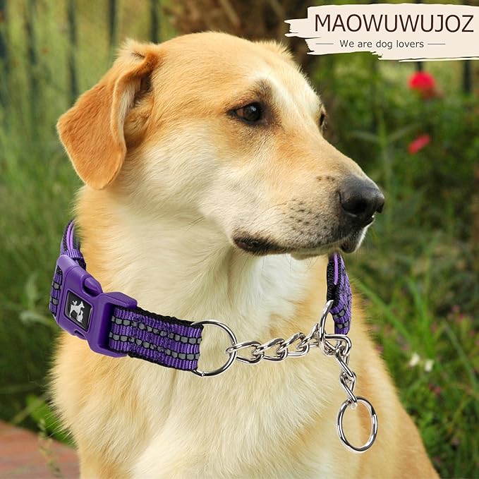 MAOWUWUJOA Martingale Collar for Dogs Reflective Nylon Dog Collar with Quick Release Buckle Adjustable Training No Slip Dog Collars (Medium, Purple)