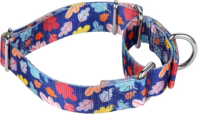 Mikivery Martingale Collar for Dogs 1 inch Sturdy Durable Collars Medium and Large Breed for Walking Training Outdoor Daily Use