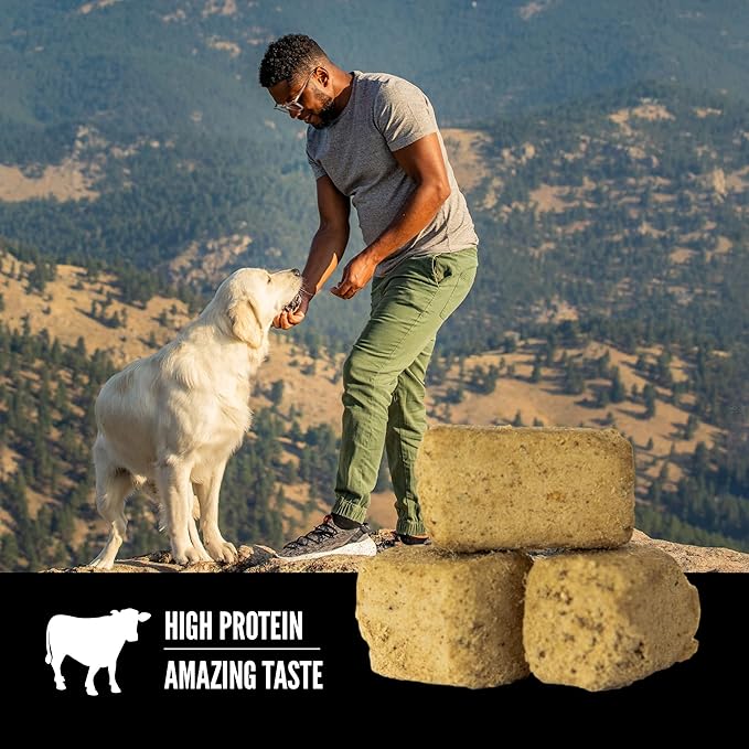 ORIJEN Grain Free High Protein Freeze Dried Dog Treats Original Recipe 3.25oz Bag