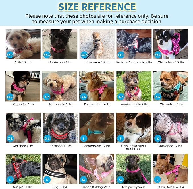 SlowTon No Pull Small Dog Harness and Leash Set, Puppy Soft Vest Harness Neck & Chest Adjustable, Reflective Lightweight Harness & Anti-Twist Pet Lead Combo for Small Medium Dogs (PU-Front Clip, XS)