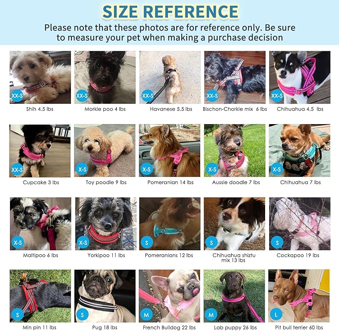 SlowTon No Pull Small Dog Harness and Leash Set, Puppy Soft Vest Harness Neck & Chest Adjustable, Reflective Lightweight Harness & Anti-Twist Pet Lead Combo for Small Medium Dogs (PU-Front Clip, XXS)