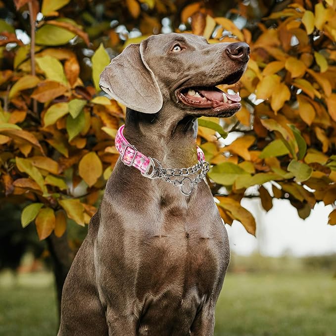 Martingale Collar for Big Dog with Chain，Reflective & Padded Comfortable & Safe No-Pull Dog Collar for Training & Walks（Pink XXL