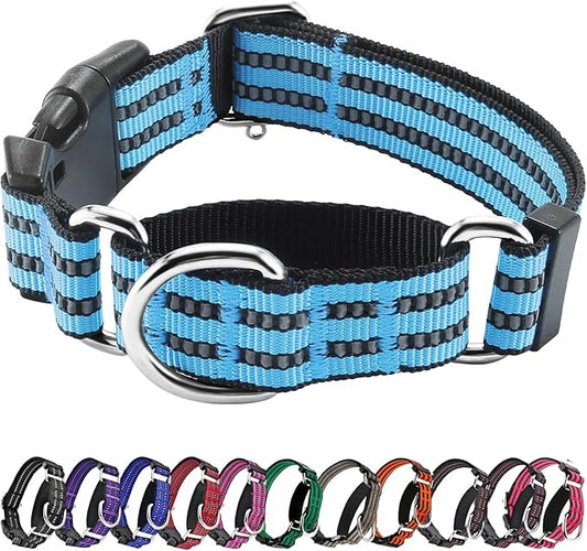 Hikiko Martingale Dog Collars Reflective Nylon Dog Collar with Quick Release Buckle Adjustable Training No Slip Dog Collar (Small, Light Blue)