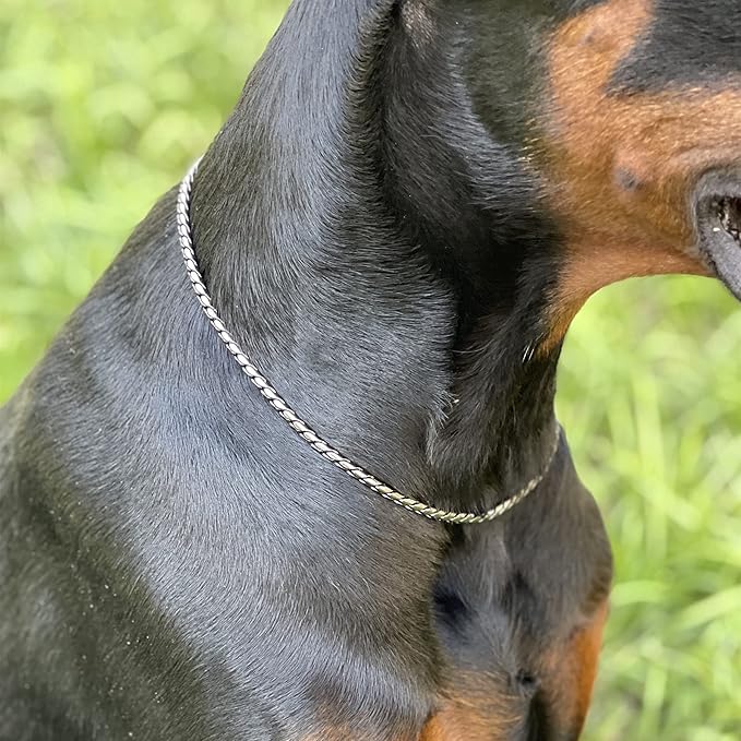 Dog P Snake Chain Chrome Plated Metal Dog Training Choke/Collar-Fully Guaranteed Against Rust Tarnish or Breakage-Recommended for Professional Training (Sliver, 4mm * 24")