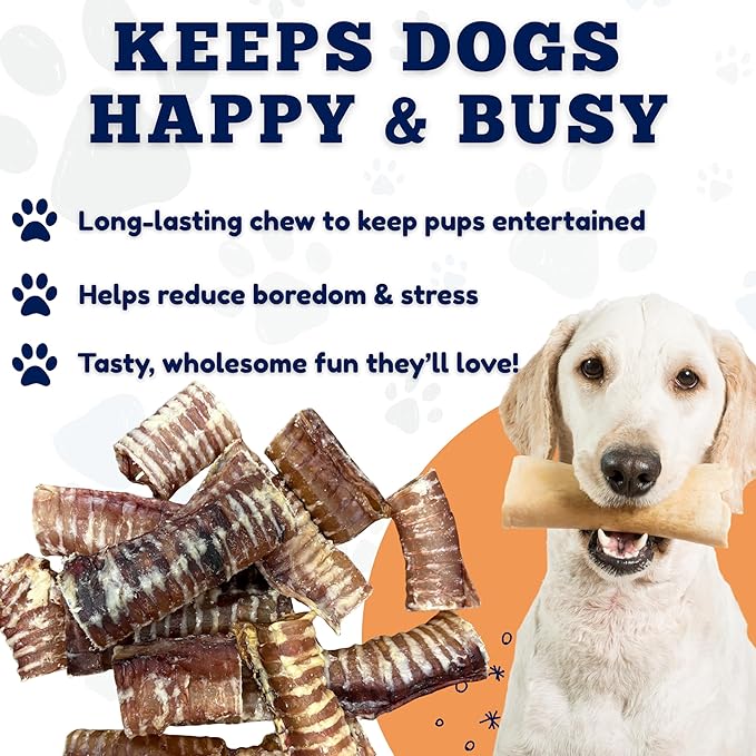 Amazing Dog Treats - 2-3 Inch Beef Trachea Rings (50 pcs/pck) - Premium Dog Chews- Great for Small Size Dogs - Excellent Source of Glucosamine and Chondroitin- Great for All Breeds