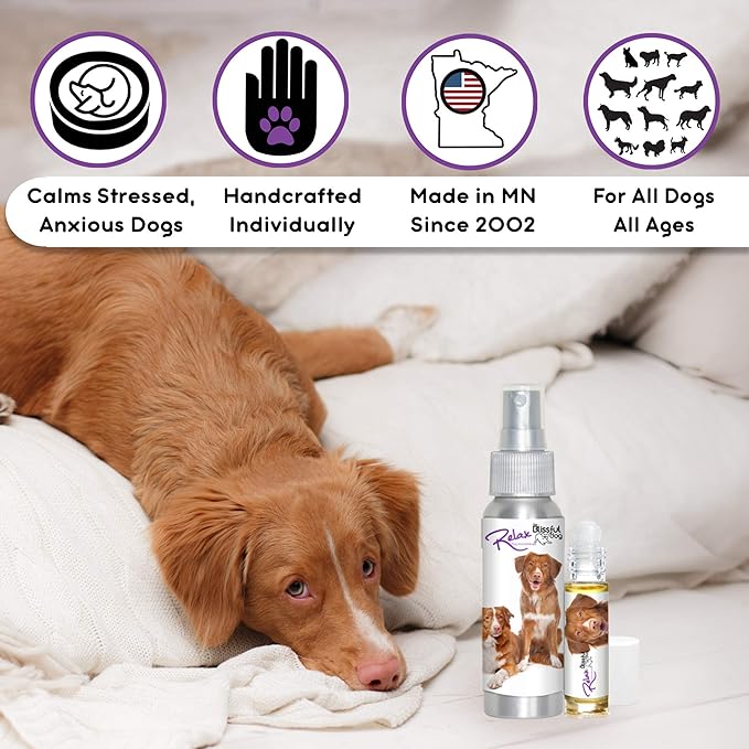 The Blissful Dog Nova Scotia Duck Tolling Retriever Relax Dog Aromatherapy Spray for Your Dog's Anxiety