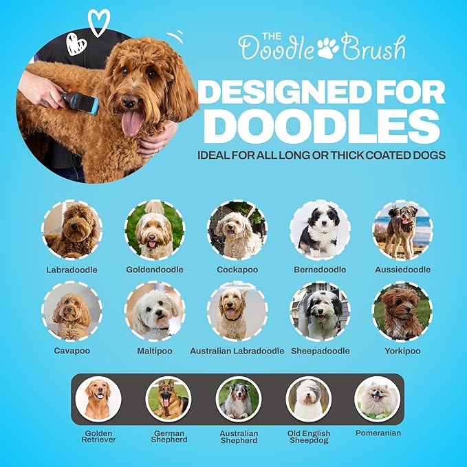 Slicker Brush for Dogs, Single Head Dog Hair Brushes, Flexible Head Slicker for Dogs, Poodle, Labradoodle, Sheepadoodle, Tangle-Free Grooming, Healthy & Shiny Coat Pet Brushes
