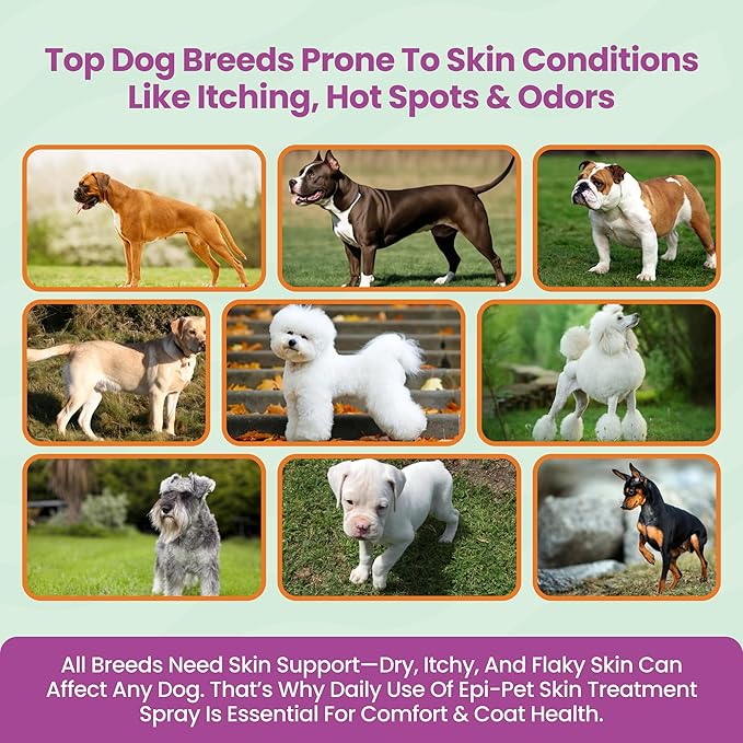 Epi-Pet Veterinary Formulated Dog Hot Spot and Dog Itch Spray, Pet Skin Treatment Spray for Allergies, Deshedding and Redness, Use it as Skin and Coat Conditioner, 1 Gallon (Pack of 2), Lavender