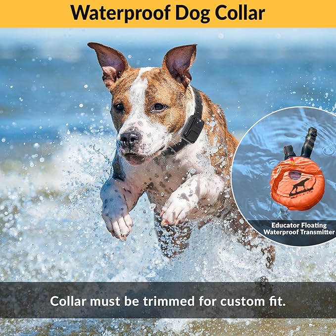Educator E-Collar The Upland Dog Training Collar w/Remote - 100 Levels of Safe Stimulation, Night Light, Waterproof, Rechargeable, Includes Premium Finger Clicker for 1 Mile 2 Med/Large Dogs, Orange