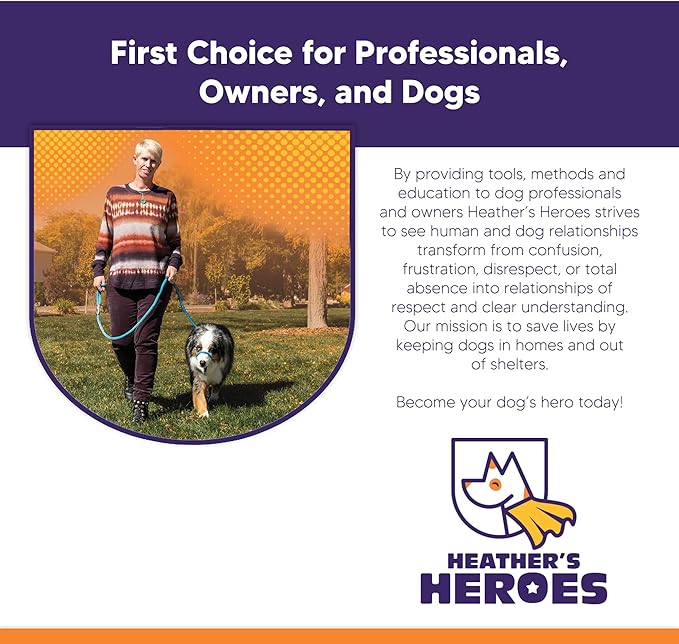 Heather's Heroes Sidekick Dog Headcollar with Leash - Sidekick Leash for Dogs, Effective Dog Training Tool for Leash Reactivity and Behavior Issues (Turquoise, Mini (1/4"))
