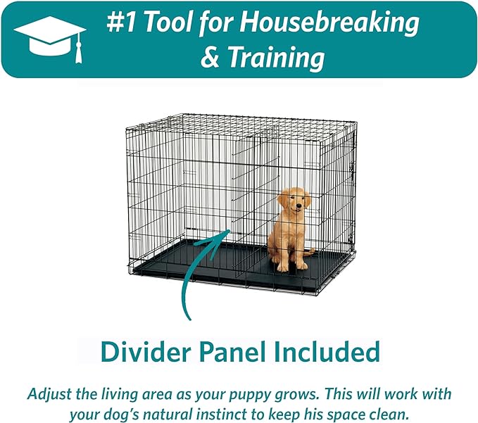 MidWest Homes for Pets 42-Inch iCrate for Large Breeds, 71-90 lbs, Double Door Folding Dog Crate with Divider Panel, Leak-Proof Tray & Secure Latches, Portable, Durable & Easy to Assemble